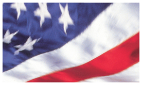 DNSEMP-C-420 American Flag